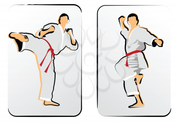 Oriental combat sports. Karate. Vector illustration