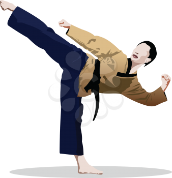 Oriental combat sports. KungFu. Colored 3d vector illustration