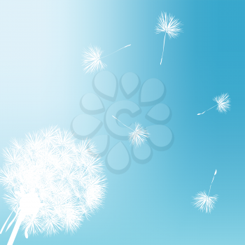 Royalty Fee Clipart Image of a Dandelion Gift Card