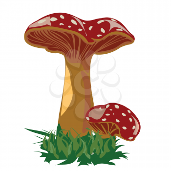 Royalty Free Clipart Image of Toadstools