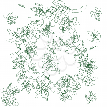 Royalty Free Clipart Image of a Sketch of Wine Grapes and Leaves
