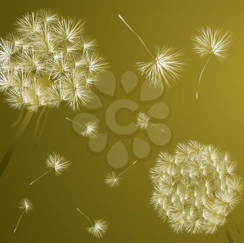 Background illustration with dandelions
