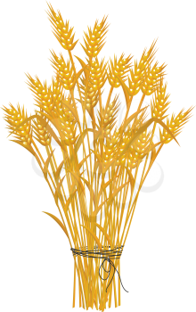 Wheat icon, isolated and grouped objects on white
