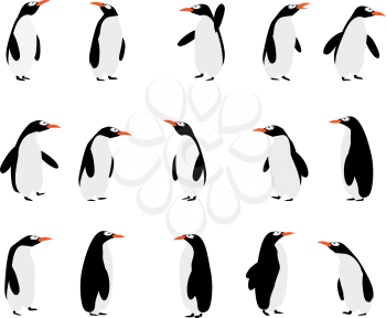 Penguins background. Graphic art illustration