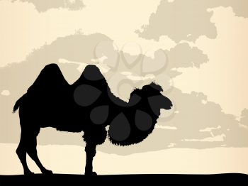 African background scene with camel silhouette