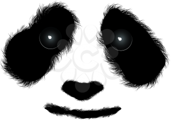Fluffy panda face isolated