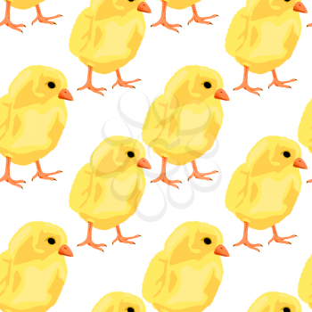 Baby chicken seamless pattern on white, vector background