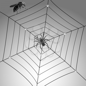spider, fly and web; abstract vector art illustration; grayscale composition