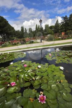 Royalty Free Photo of a Pond in Madrid