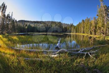 Royalty Free Photo of a Lake in Yosemite National Park
