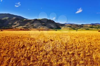 Royalty Free Photo of a Field in the United States