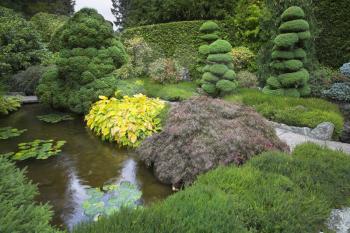 Royalty Free Photo of a Japanese Garden