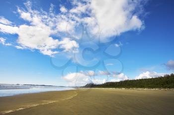 Royalty Free Photo of a Beach in Vancouver Island