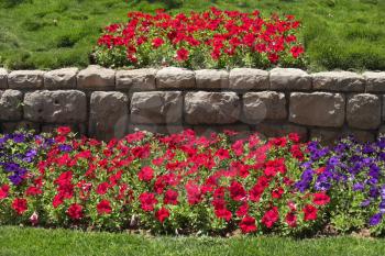 Royalty Free Photo of Flower Beds in a Park