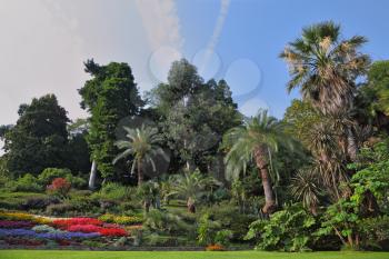 Wonderful bright flowerbeds in an exotic park. Lake Como, Villa Carlotta
