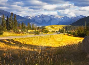 Charming glade with a yellow autumn grass and road beside in national park Jasper in Canada