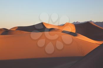 Clear graphic shapes of sand dunes at sunrise. California, Death Valley
