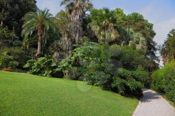  The green grassy lawn and comfortable path in an exotic park. Lake Como, Villa Carlotta
