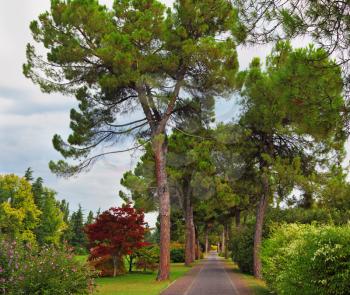 One of Europe's finest landscaped parks - Park Sigurta. Gorgeous straight Avenue
