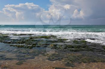 Flat shallow Mediterranean coast. Stones covered with algae in a tidal wave. Warm day in January
