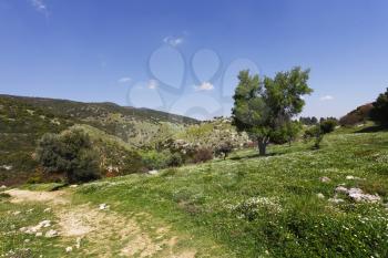 Footpath in low mountains. The north of Israel, mountain Meron