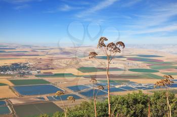 Blooming Isreel Valley in Israel. Fields, meadows and villages were photographed from the hill Gilboa