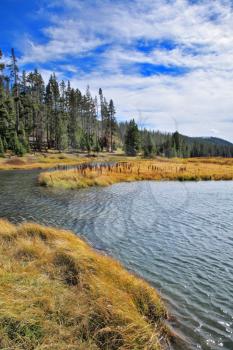 Plain, superficial stream and yellow autumn grass in park Yellowstone in the USA
