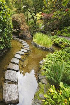 Traditional Japanese garden. A stream and a decorative path from stones