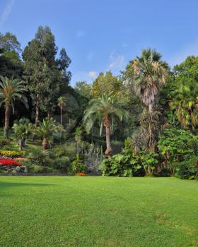 Wonderful vibrant flowerbeds and green grassy lawn in an exotic park. Lake Como, Villa Carlotta
