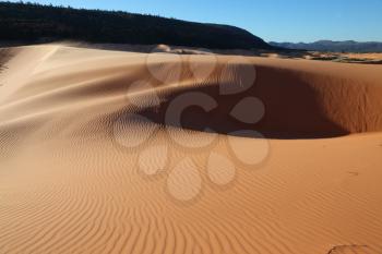 Sandy waves are poured in solar beams. Early morning on the  pink sand dunes