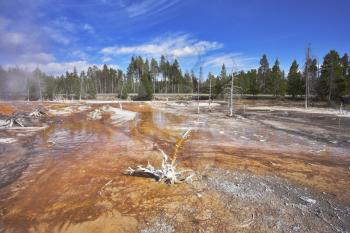 Geothermal mineral waters in fine autumn day in Yellowstone Park