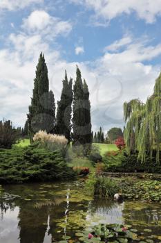 Enchantingly beautiful park-garden Sigurta. Shallow pond, cypress and lily