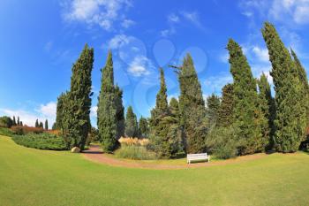 Gorgeous lawn in a park surrounded by cypress trees. To rest at the track is a handy white bench. Photo made with fish eye lens