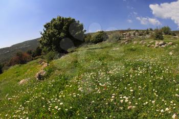 Hilly landscape. Spring at southern coast of Mediterranean sea