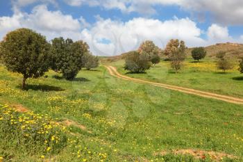 Spring in Israel. Cloud in March at noon, the rural dirt road, field and small trees
