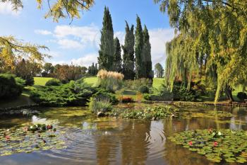 Beautiful park Sigurta in northern Italy. Weeping willows and cypresses in a quiet pond