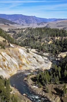 Woody canyon of the river in well-known Yellowstone national park