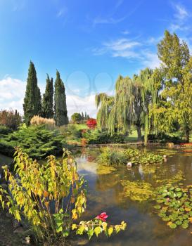 A quiet corner of the picturesque park in Europe. A pond, overgrown with lilies, weeping willows and cypresses