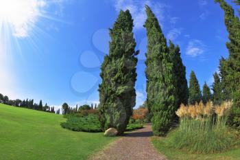 The most romantic landscape park garden in Italy. Comfortable walking path goes through the green grassy lawn. Photo taken fisheye lens