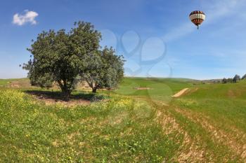 The wonderful spring day in southern Israel. The  huge field with blooming buttercups and flying in the sky, beautiful multicolored balloon