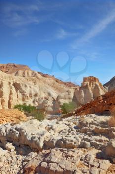 Gorge in the Dead Sea. The picturesque ruins of the Crusader photographed woman in the red sweater