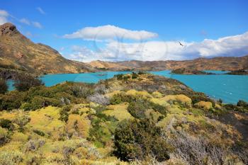 National Park Chile - Torres del Paine. Azure water of Lake Pehoe between green and yellow hilly coast