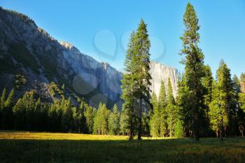 The most beautiful glade in Yosemite national park on a sunset