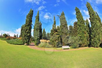 Gorgeous lawn in a park surrounded by cypress trees. To rest at the track is a handy white bench. 
​