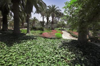 Hot summer day in magnificent well-groomed garden in Israel