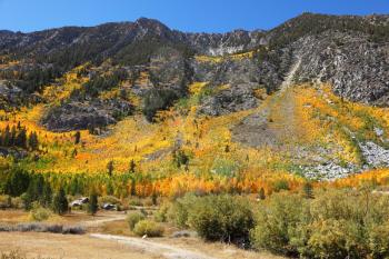 Mountain slopes in California. Shrubs bright autumn colors of orange, red and yellow