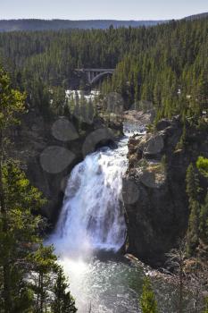 Sparkling roaring falls in Yellowstone national park. More magnificent pictures from the American and Canadian National parks you can look hundreds in my portfolio. Welcome!