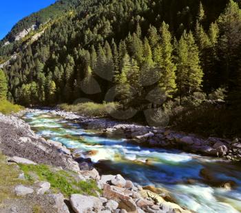 Pastoral in the Alpine mountain valley in Austria. Rapid mountain stream of coniferous forests. Cascades of cold water at the source of the famous Krimml waterfalls.