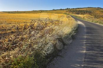 Road through fields after harvesting