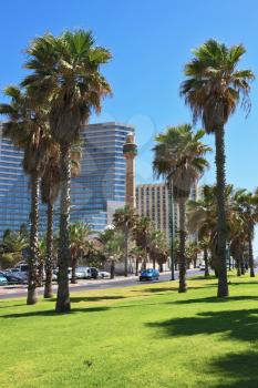 TEL AVIV, ISRAEL - MAY 2, 2014: Beautiful Tel Aviv promenade. Front of the hotel green lawn and palm trees